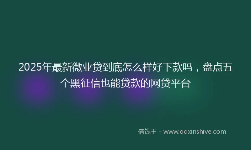 2025年最新微业贷到底怎么样好下款吗，盘点五个黑征信也能贷款的网贷平台
