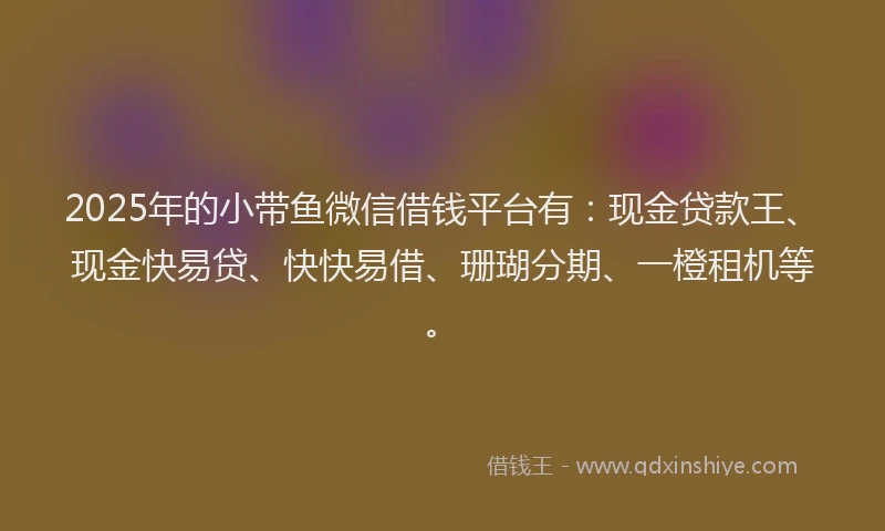 2025年的小带鱼微信借钱平台有：现金贷款王、现金快易贷、快快易借、珊瑚分期、一橙租机等。