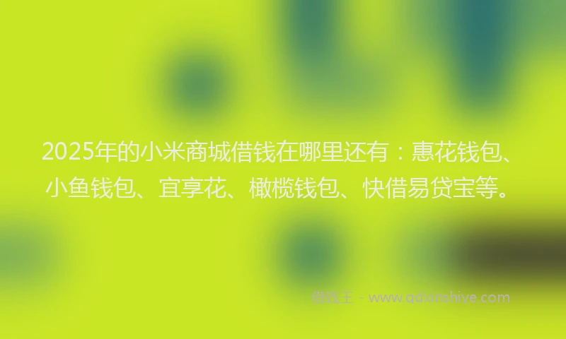 2025年的小米商城借钱在哪里还有：惠花钱包、小鱼钱包、宜享花、橄榄钱包、快借易贷宝等。