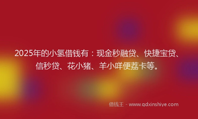 2025年的小氢借钱有：现金秒融贷、快捷宝贷、信秒贷、花小猪、羊小咩便荔卡等。