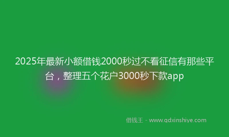 2025年最新小额借钱2000秒过不看征信有那些平台，整理五个花户3000秒下款app
