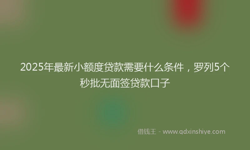 2025年最新小额度贷款需要什么条件，罗列5个秒批无面签贷款口子