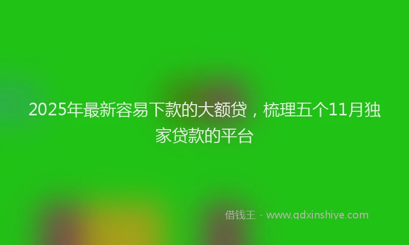 2025年最新容易下款的大额贷，梳理五个11月独家贷款的平台