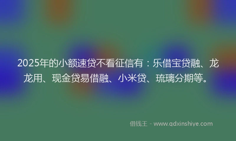 2025年的小额速贷不看征信有：乐借宝贷融、龙龙用、现金贷易借融、小米贷、琉璃分期等。