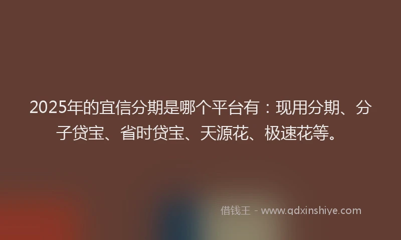 2025年的宜信分期是哪个平台有：现用分期、分子贷宝、省时贷宝、天源花、极速花等。