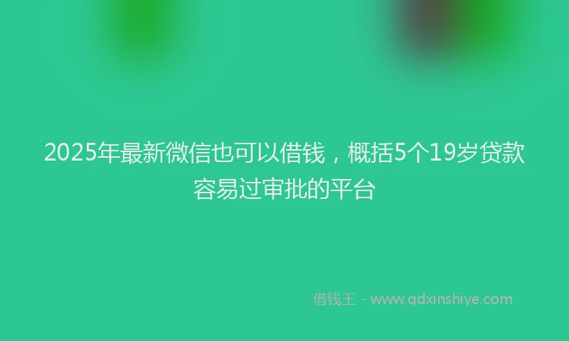 2025年最新微信也可以借钱，概括5个19岁贷款容易过审批的平台