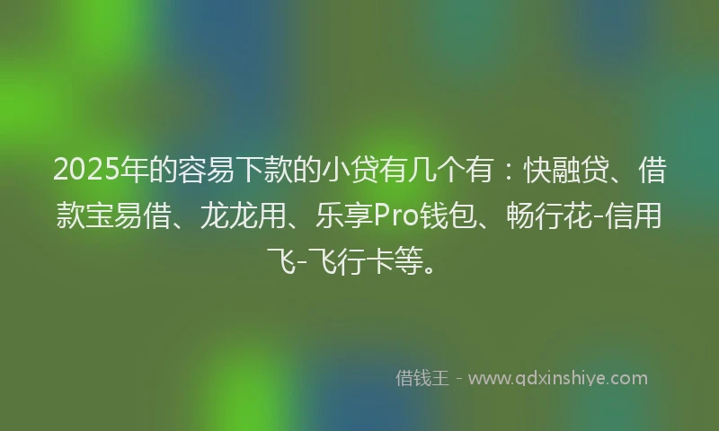 2025年的容易下款的小贷有几个有：快融贷、借款宝易借、龙龙用、乐享Pro钱包、畅行花-信用飞-飞行卡等。