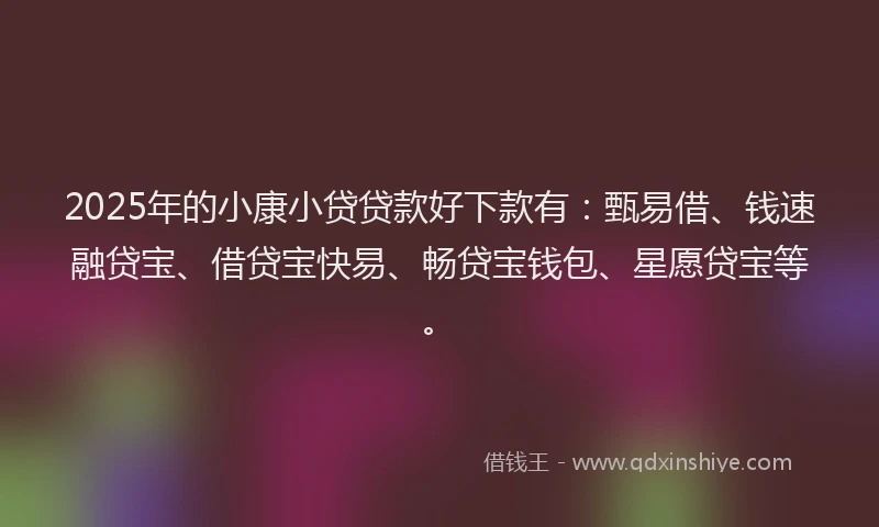 2025年的小康小贷贷款好下款有：甄易借、钱速融贷宝、借贷宝快易、畅贷宝钱包、星愿贷宝等。