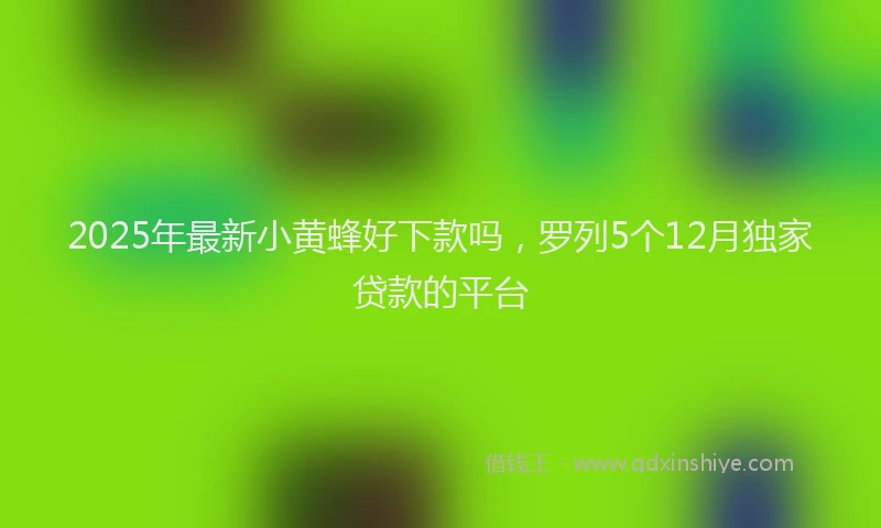 2025年最新小黄蜂好下款吗，罗列5个12月独家贷款的平台