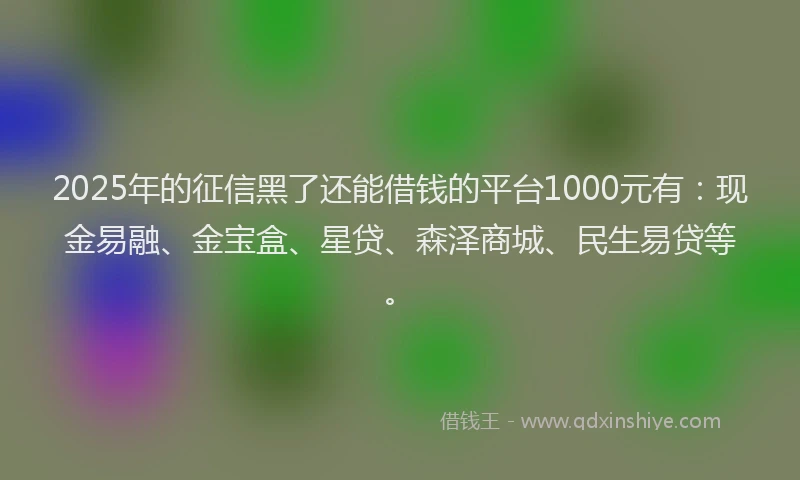 2025年的征信黑了还能借钱的平台1000元有：现金易融、金宝盒、星贷、森泽商城、民生易贷等。