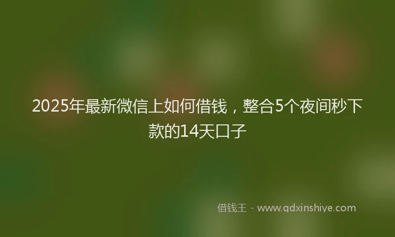 2025年最新微信上如何借钱，整合5个夜间秒下款的14天口子