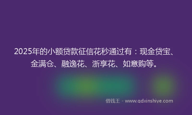 2025年的小额贷款征信花秒通过有：现金贷宝、金满仓、融逸花、浙享花、如意购等。