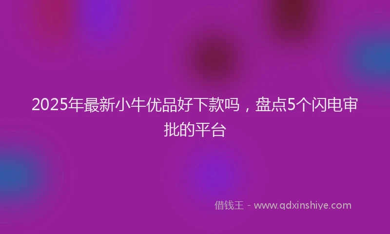 2025年最新小牛优品好下款吗，盘点5个闪电审批的平台