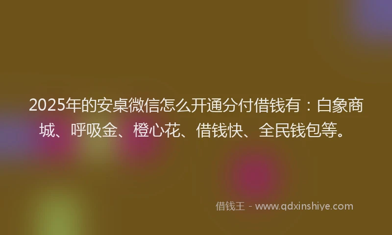 2025年的安桌微信怎么开通分付借钱有：白象商城、呼吸金、橙心花、借钱快、全民钱包等。