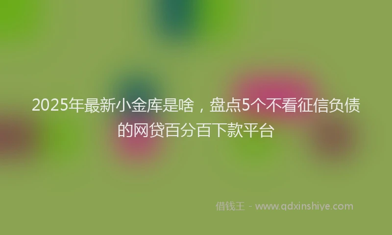 2025年最新小金库是啥，盘点5个不看征信负债的网贷百分百下款平台