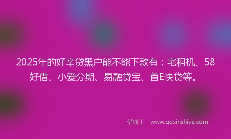 2025年的好辛贷黑户能不能下款有：宅租机、58好借、小爱分期、易融贷宝、首E快贷等。