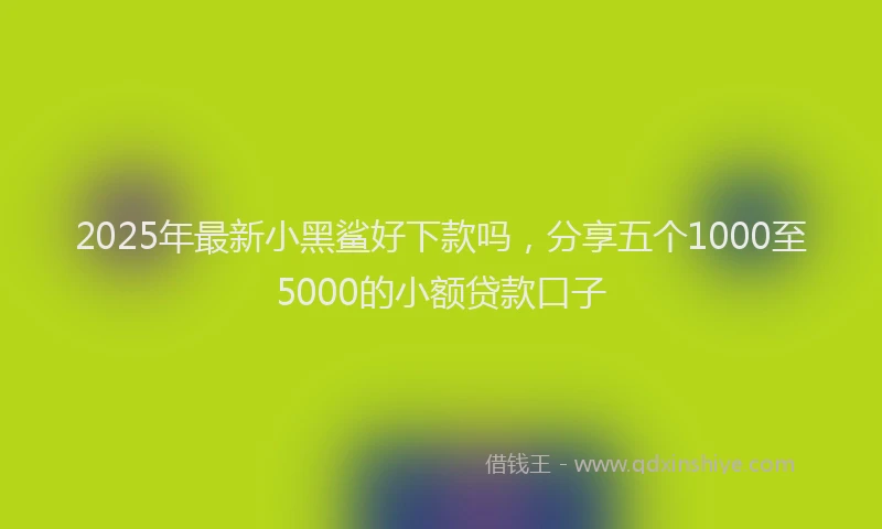 2025年最新小黑鲨好下款吗，分享五个1000至5000的小额贷款口子
