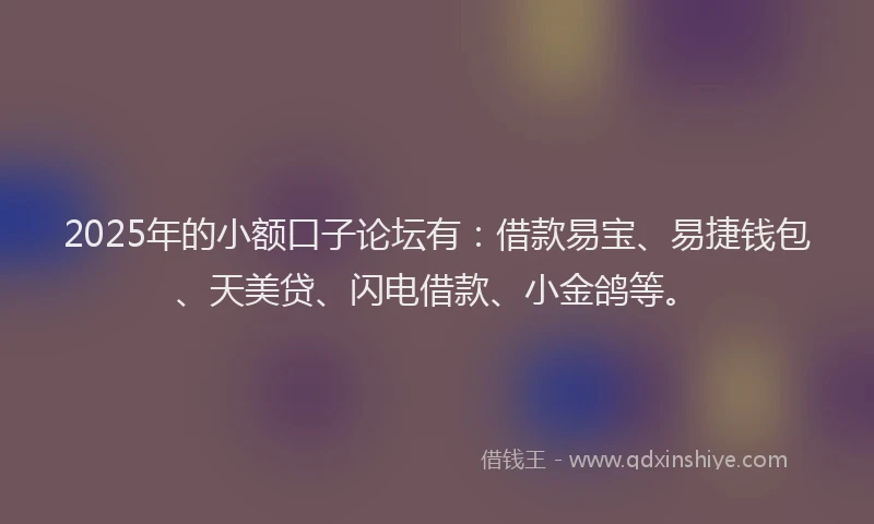 2025年的小额口子论坛有：借款易宝、易捷钱包、天美贷、闪电借款、小金鸽等。