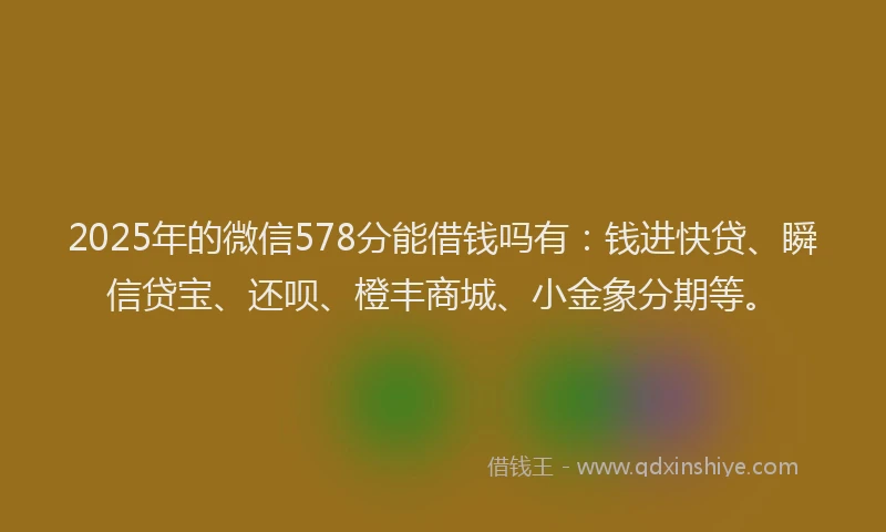2025年的微信578分能借钱吗有：钱进快贷、瞬信贷宝、还呗、橙丰商城、小金象分期等。