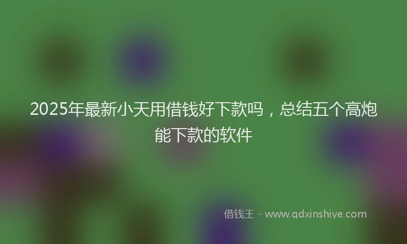2025年最新小天用借钱好下款吗，总结五个高炮能下款的软件