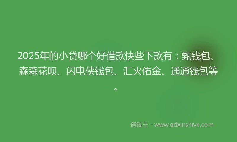 2025年的小贷哪个好借款快些下款有：甄钱包、森森花呗、闪电侠钱包、汇火佑金、通通钱包等。