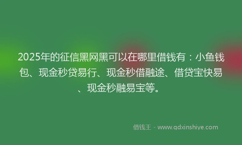 2025年的征信黑网黑可以在哪里借钱有：小鱼钱包、现金秒贷易行、现金秒借融途、借贷宝快易、现金秒融易宝等。
