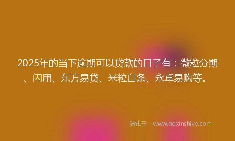 2025年的当下逾期可以贷款的口子有：微粒分期、闪用、东方易贷、米粒白条、永卓易购等。