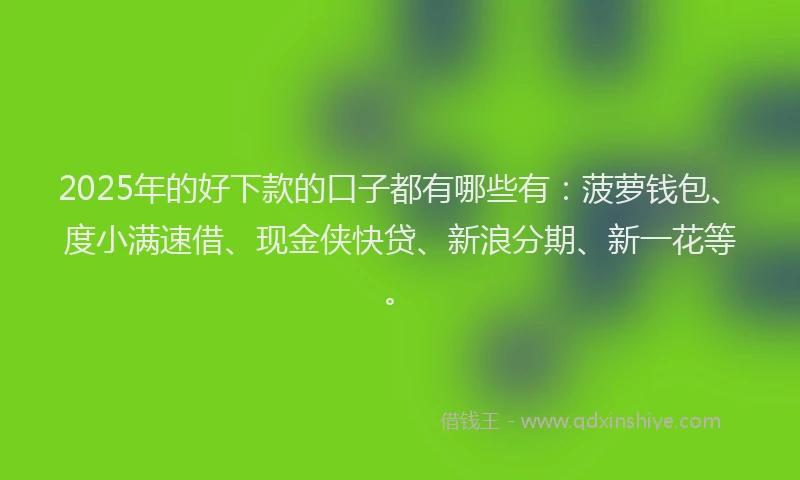 2025年的好下款的口子都有哪些有：菠萝钱包、度小满速借、现金侠快贷、新浪分期、新一花等。