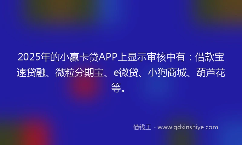 2025年的小赢卡贷APP上显示审核中有：借款宝速贷融、微粒分期宝、e微贷、小狗商城、葫芦花等。