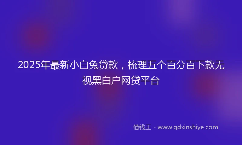 2025年最新小白兔贷款，梳理五个百分百下款无视黑白户网贷平台