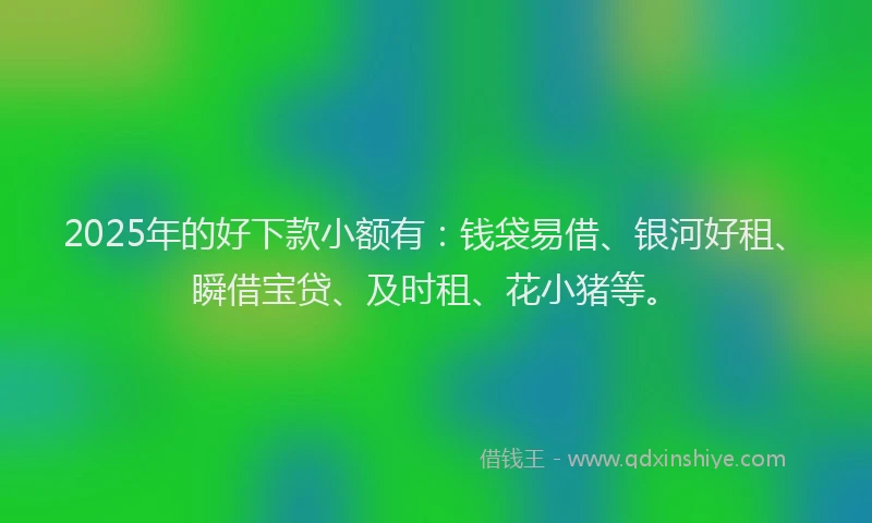 2025年的好下款小额有：钱袋易借、银河好租、瞬借宝贷、及时租、花小猪等。