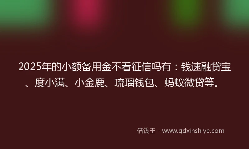 2025年的小额备用金不看征信吗有：钱速融贷宝、度小满、小金鹿、琉璃钱包、蚂蚁微贷等。