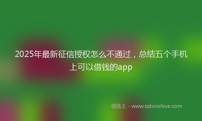 2025年最新征信授权怎么不通过，总结五个手机上可以借钱的app