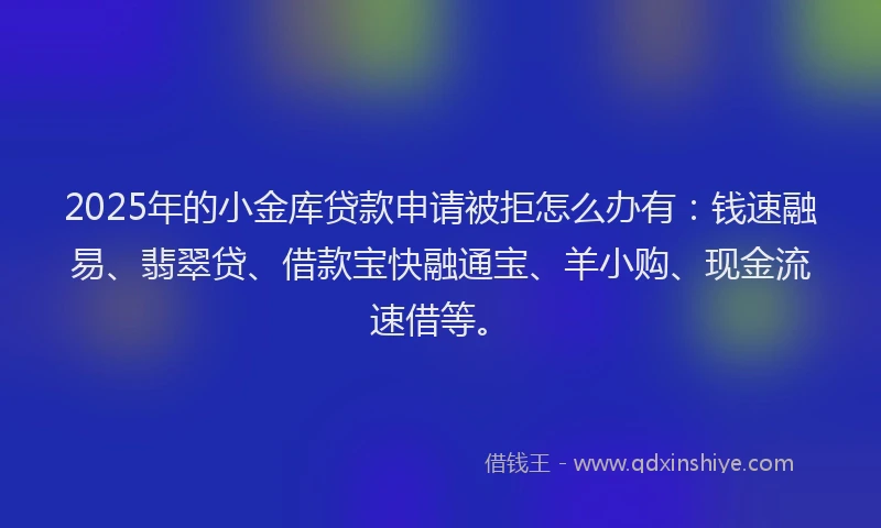 2025年的小金库贷款申请被拒怎么办有：钱速融易、翡翠贷、借款宝快融通宝、羊小购、现金流速借等。