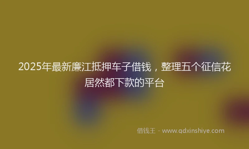 2025年最新廉江抵押车子借钱，整理五个征信花居然都下款的平台