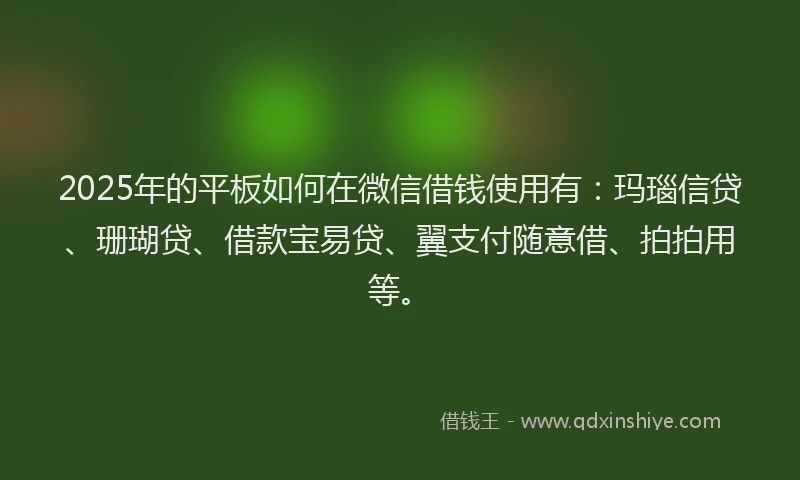 2025年的平板如何在微信借钱使用有：玛瑙信贷、珊瑚贷、借款宝易贷、翼支付随意借、拍拍用等。