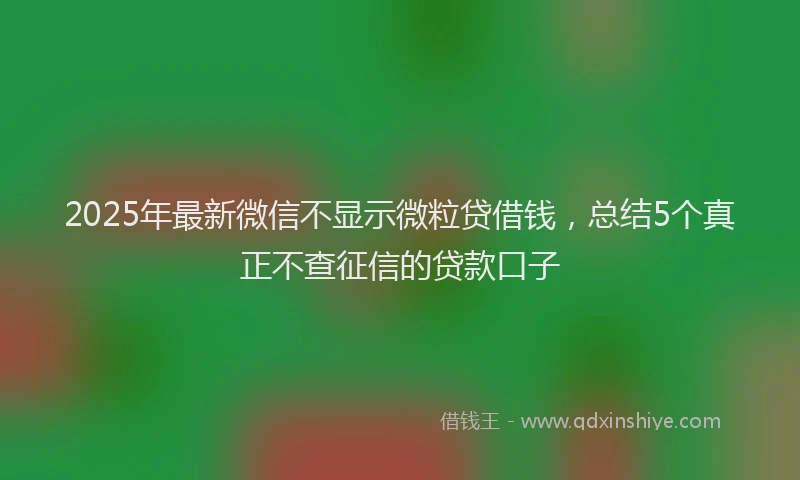 2025年最新微信不显示微粒贷借钱，总结5个真正不查征信的贷款口子