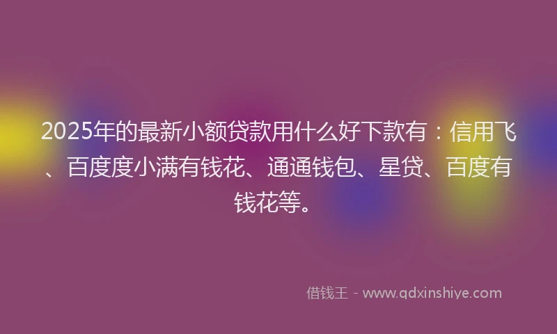 2025年的最新小额贷款用什么好下款有：信用飞、百度度小满有钱花、通通钱包、星贷、百度有钱花等。