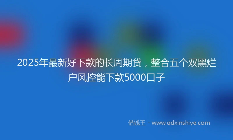 2025年最新好下款的长周期贷，整合五个双黑烂户风控能下款5000口子