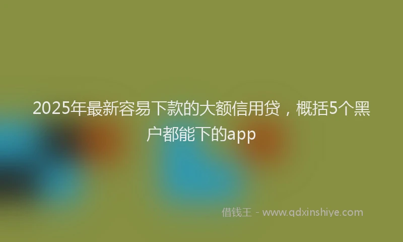 2025年最新容易下款的大额信用贷，概括5个黑户都能下的app