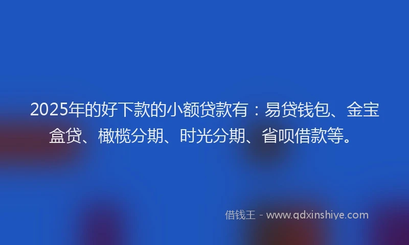 2025年的好下款的小额贷款有：易贷钱包、金宝盒贷、橄榄分期、时光分期、省呗借款等。