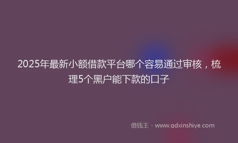 2025年最新小额借款平台哪个容易通过审核，梳理5个黑户能下款的口子