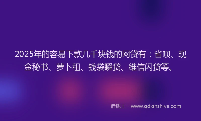 2025年的容易下款几千块钱的网贷有：省呗、现金秘书、萝卜租、钱袋瞬贷、维信闪贷等。