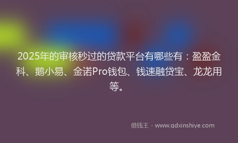 2025年的审核秒过的贷款平台有哪些有：盈盈金科、鹅小易、金诺Pro钱包、钱速融贷宝、龙龙用等。