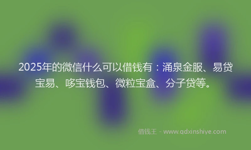2025年的微信什么可以借钱有：涌泉金服、易贷宝易、哆宝钱包、微粒宝盒、分子贷等。