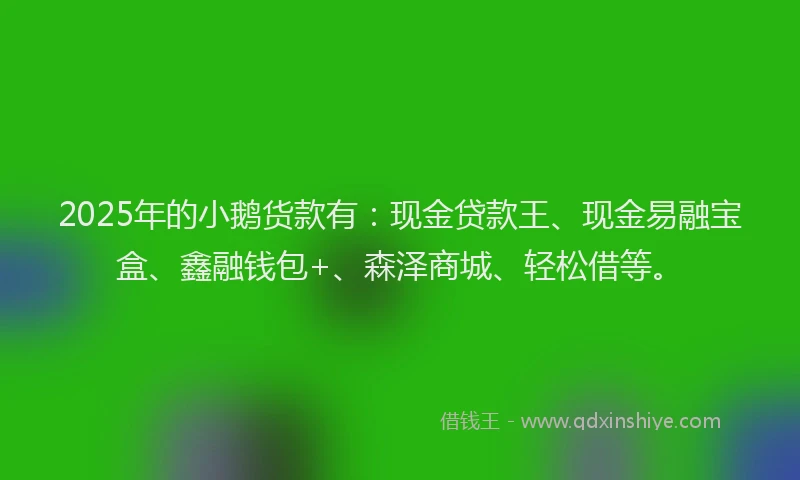 2025年的小鹅货款有：现金贷款王、现金易融宝盒、鑫融钱包+、森泽商城、轻松借等。