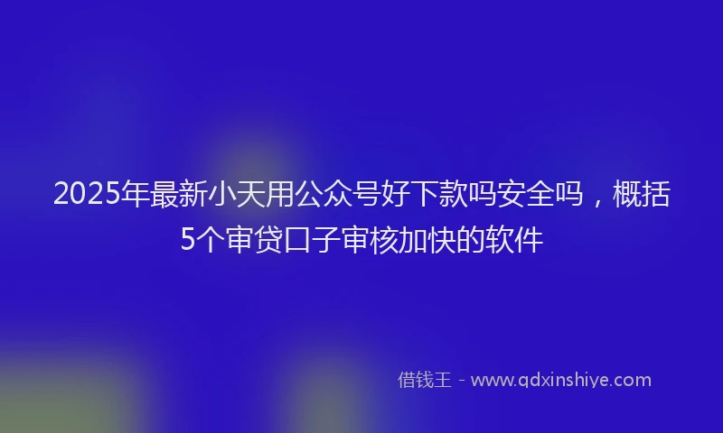 2025年最新小天用公众号好下款吗安全吗，概括5个审贷口子审核加快的软件