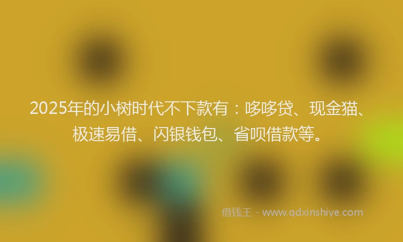 2025年的小树时代不下款有：哆哆贷、现金猫、极速易借、闪银钱包、省呗借款等。