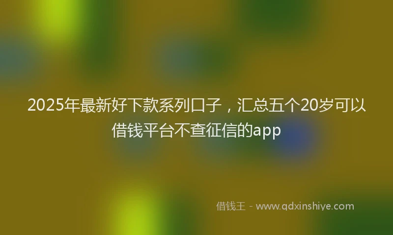 2025年最新好下款系列口子，汇总五个20岁可以借钱平台不查征信的app