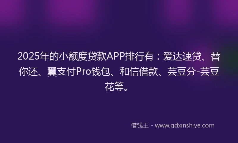 2025年的小额度贷款APP排行有：爱达速贷、替你还、翼支付Pro钱包、和信借款、芸豆分-芸豆花等。